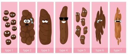Bristol Stool Scale Reference